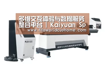 案例展示三