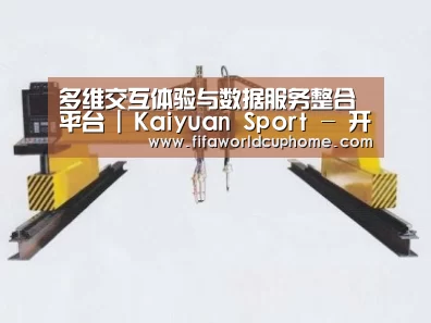 产品名称十七
